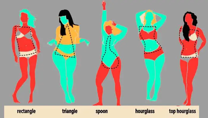 Different types of Body